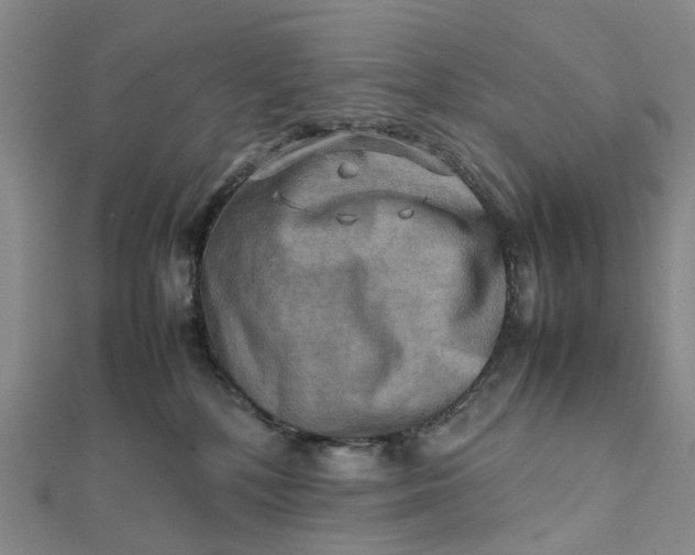 X0000112090232200908251134