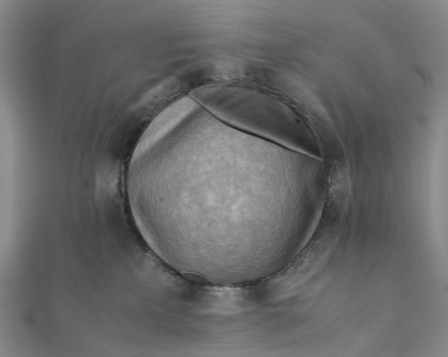 X0000112090233200908251134