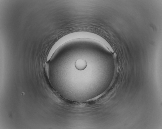 X0000112090235200908251134