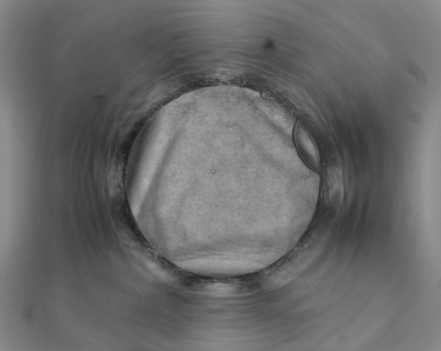 X0000112090236200908251134