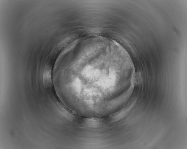 X0000112090238200908251134