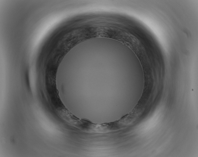 X0000112090239200908251134