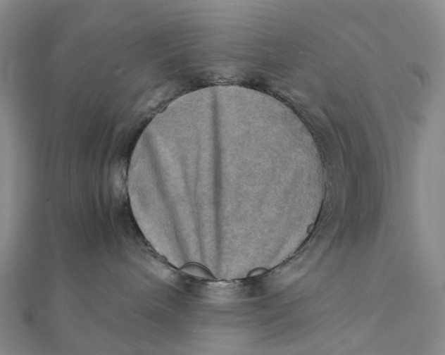 X0000112090240200908251134