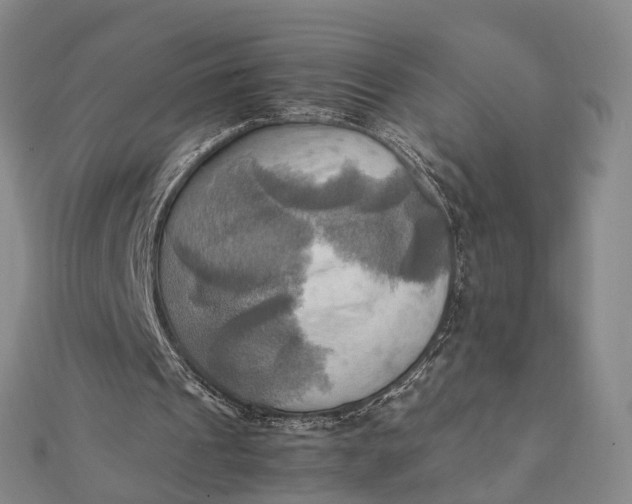 X0000112090241200908251133