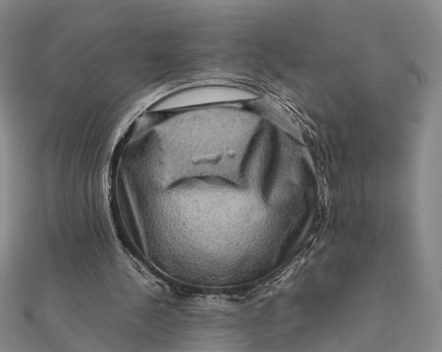 X0000112090244200908251133