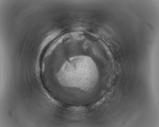 X0000112090245200908251133