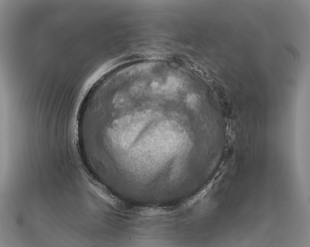 X0000112090246200908251133