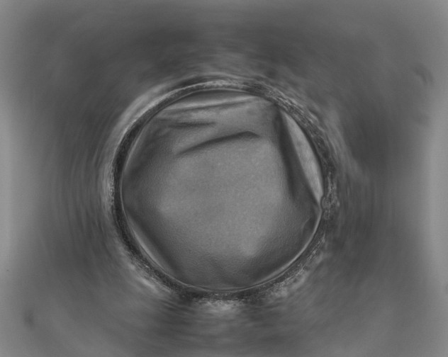 X0000112090247200908251133