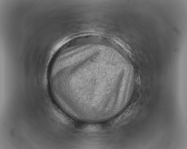 X0000112090248200908251133