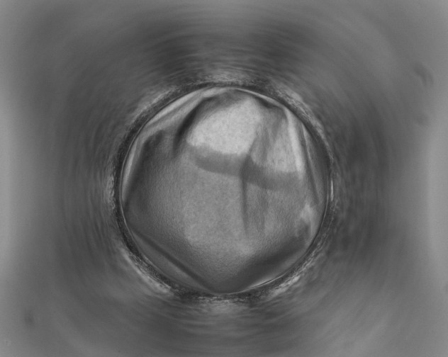 X0000112090249200908251133