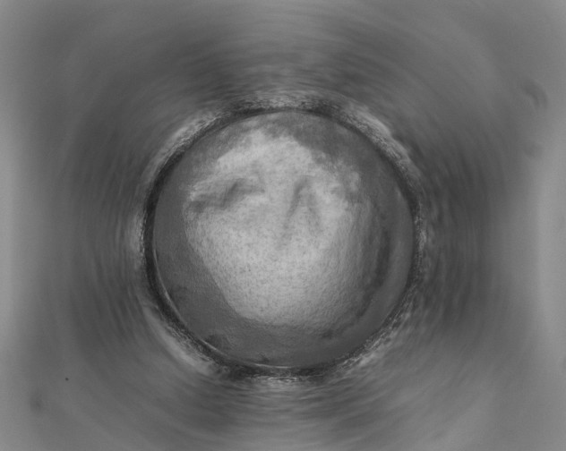 X0000112090250200908251133
