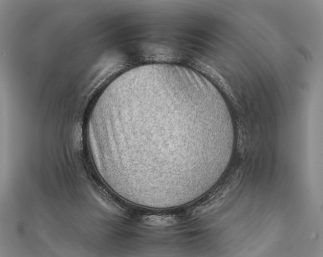 X0000112090251200908251133