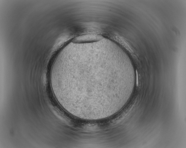 X0000112090252200908251133