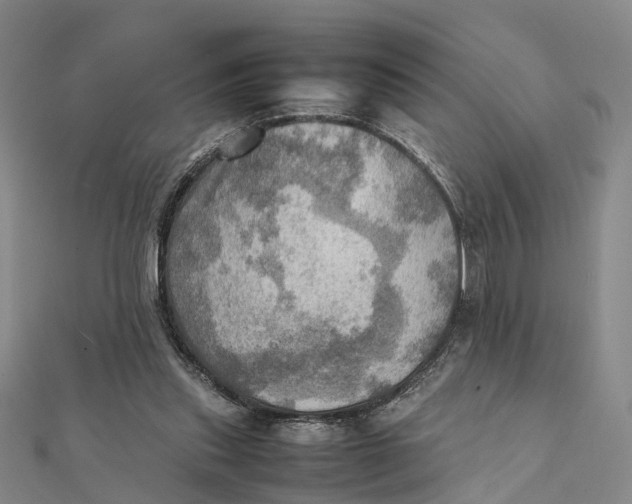 X0000112090253200908251133