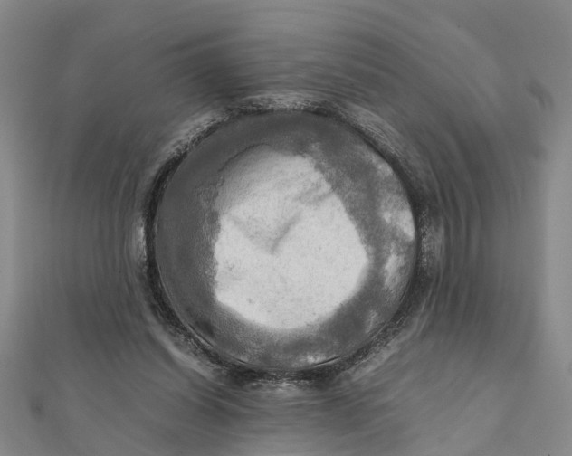 X0000112090254200908251133