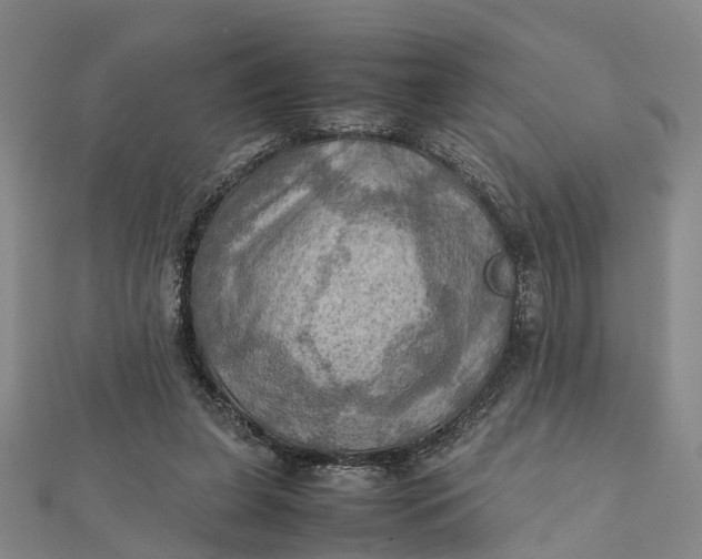 X0000112090255200908251133