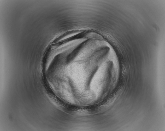 X0000112090256200908251133