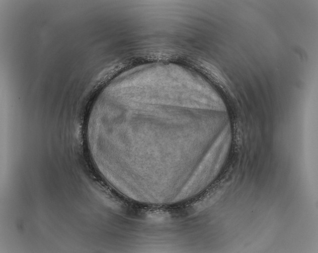 X0000112090258200908251133