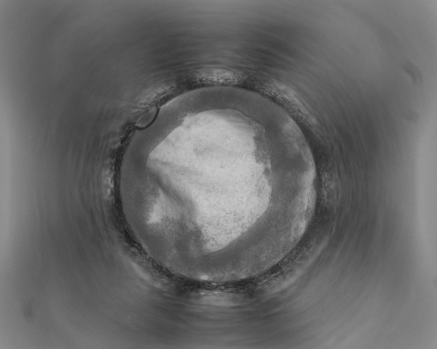 X0000112090259200908251133