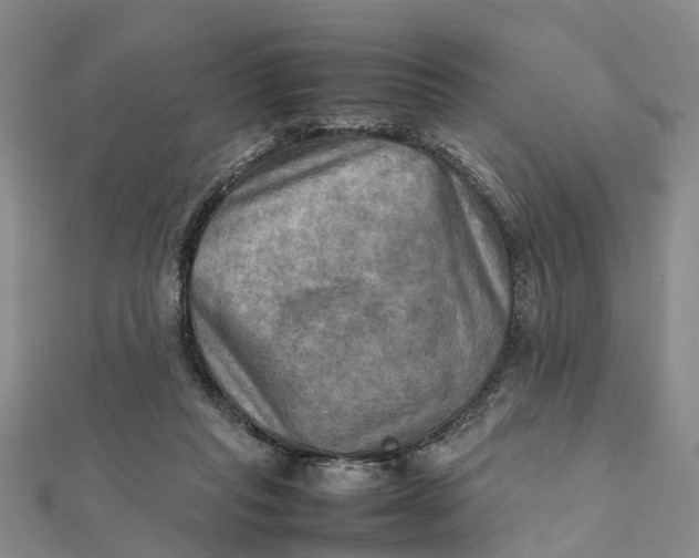 X0000112090261200908251133