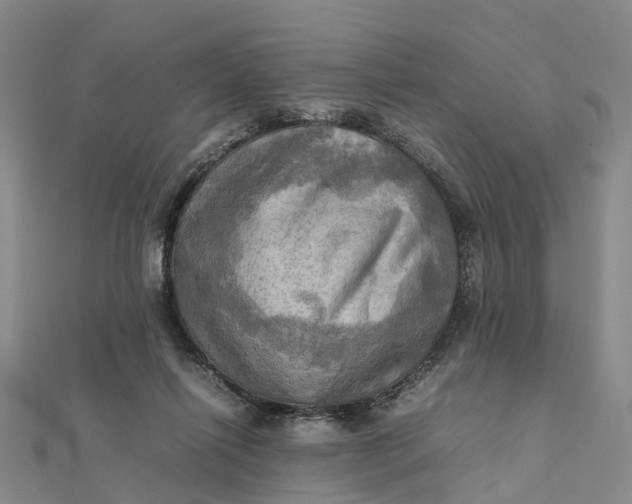 X0000112090262200908251133