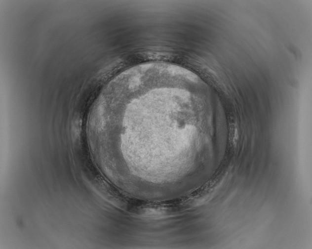 X0000112090263200908251134