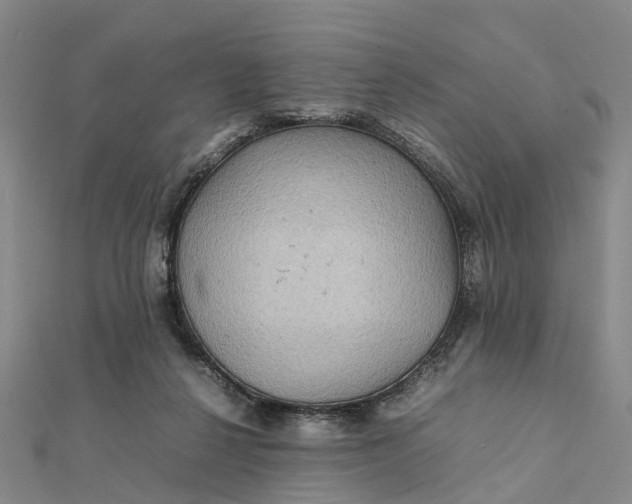 X0000112090264200908251134