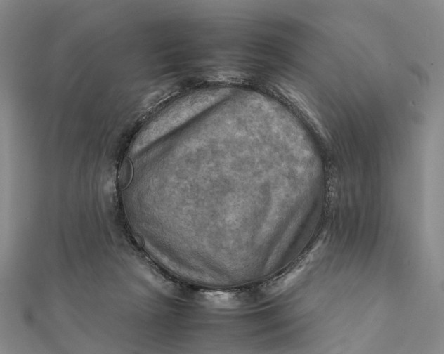 X0000112090265200908251134