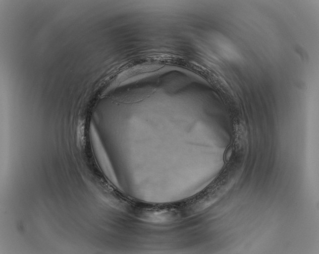 X0000112090267200908251134