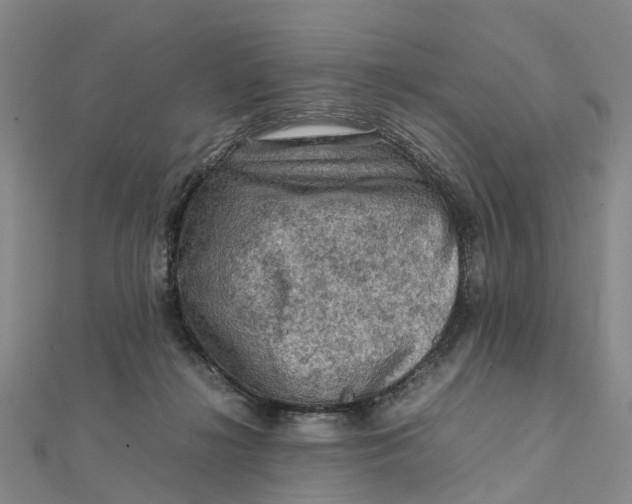 X0000112090268200908251134