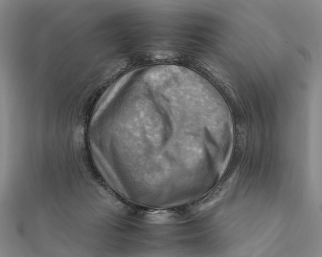 X0000112090269200908251134