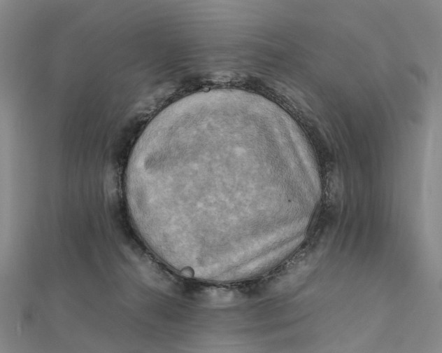 X0000112090272200908251134