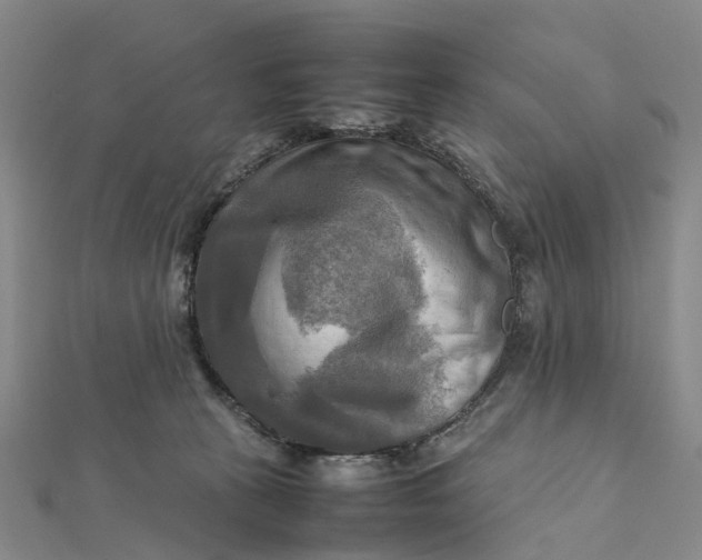 X0000112090273200908251134