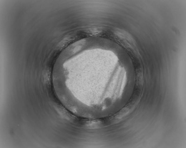 X0000112090274200908251134