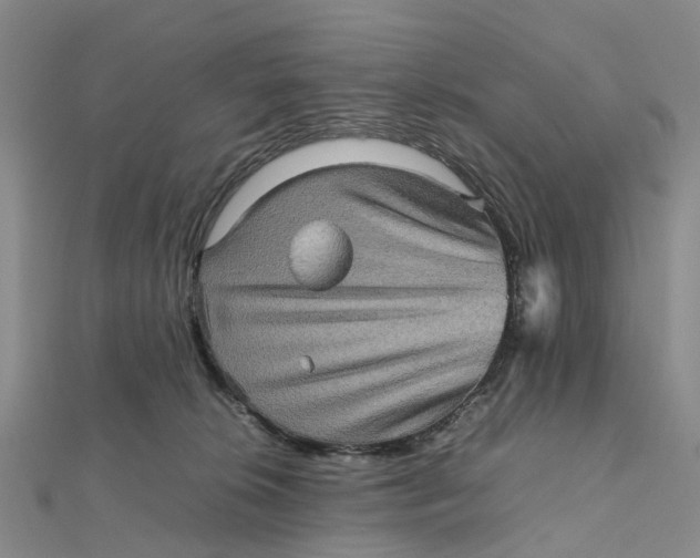 X0000112090276200908251134