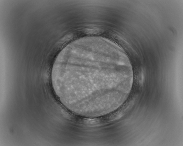 X0000112090277200908251134