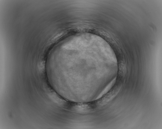 X0000112090278200908251134