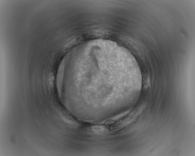 X0000112090279200908251134