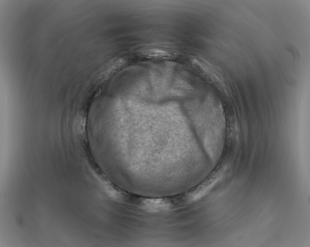 X0000112090281200908251134