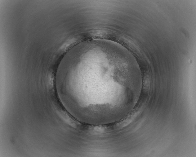 X0000112090282200908251134