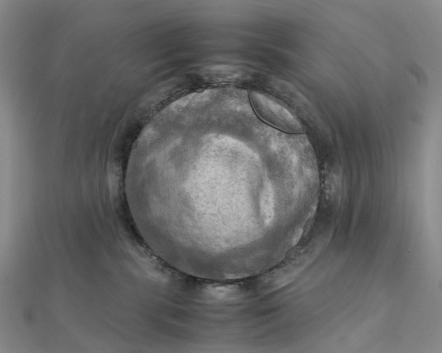 X0000112090283200908251134