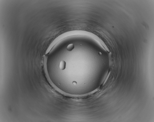 X0000112090284200908251134