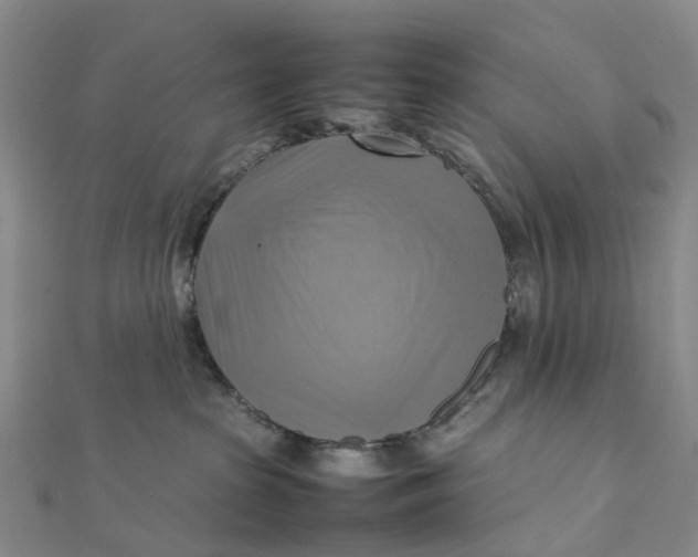 X0000112090285200908251134