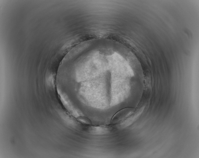 X0000112090286200908251134