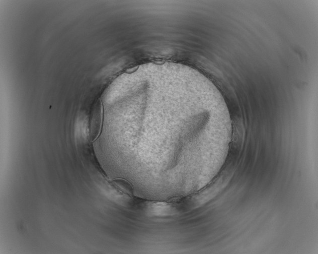 X0000112090287200908251134