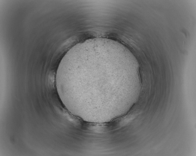 X0000112090288200908251134