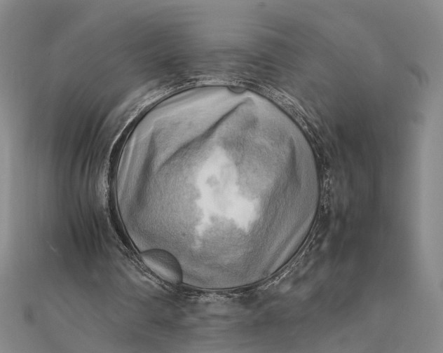 X0000112090290200908251133