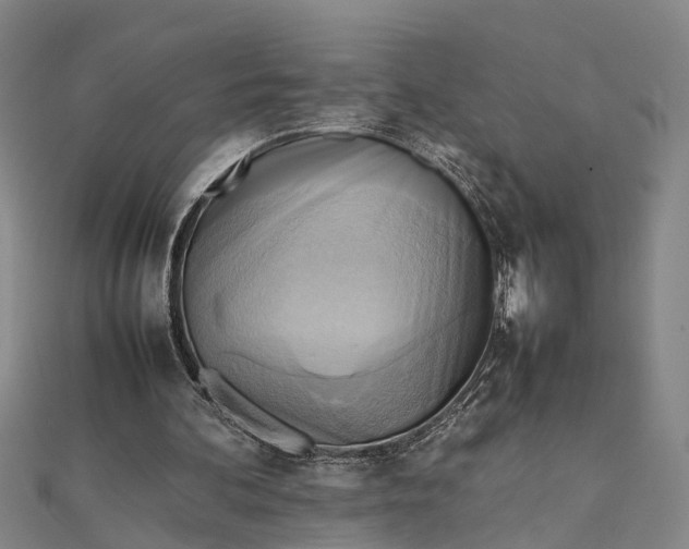 X0000112090292200908251133