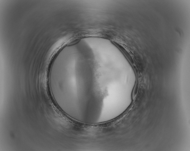 X0000112090293200908251133