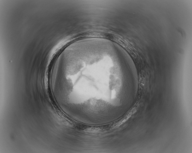 X0000112090294200908251133